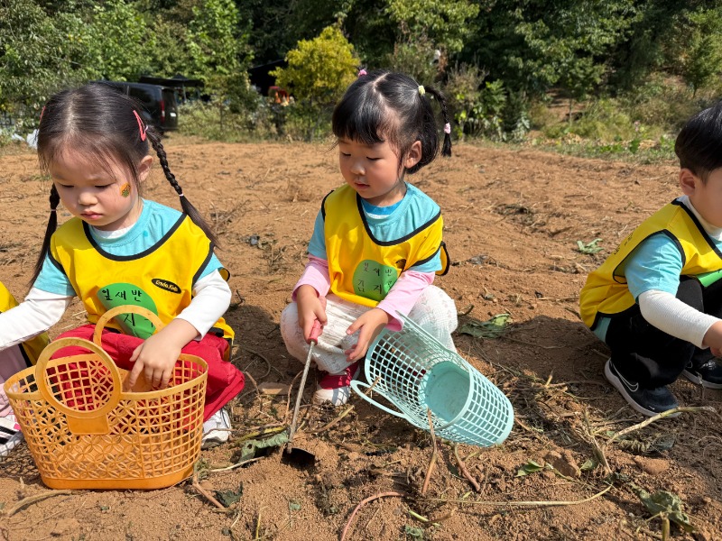 KakaoTalk_20261012_135450411_04.jpg