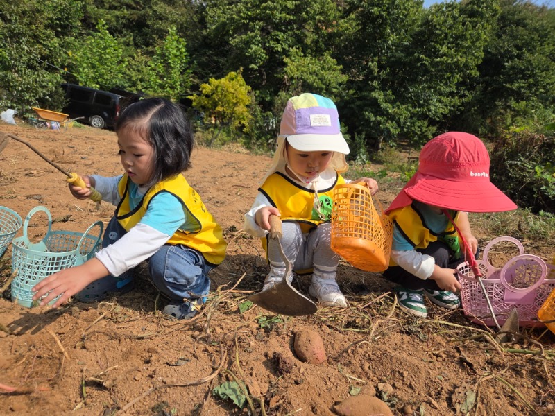 KakaoTalk_20261012_133626977_02.jpg