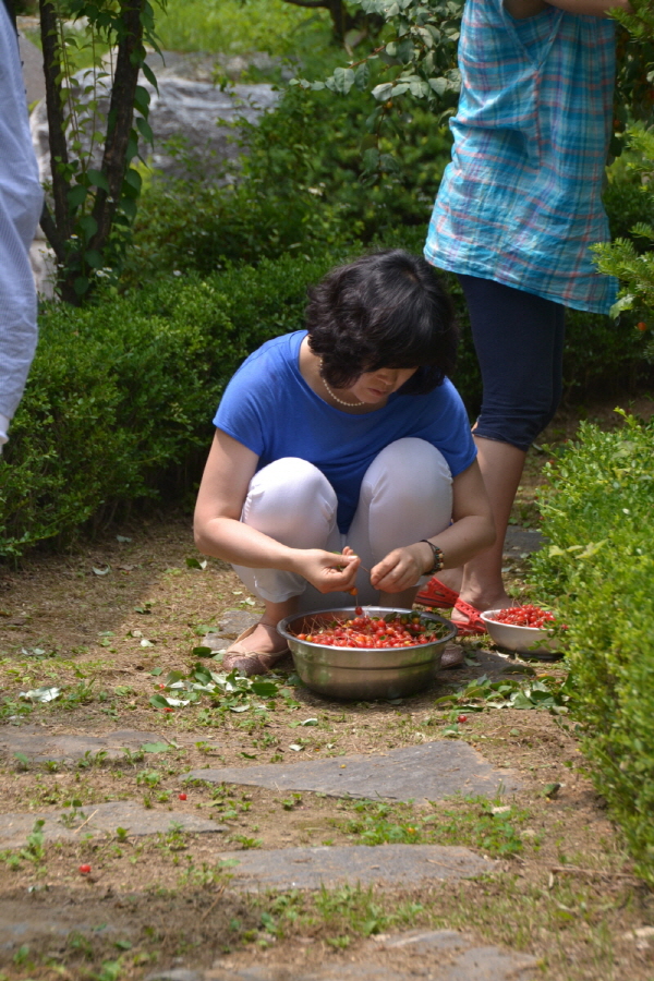 DSC_0134.jpg