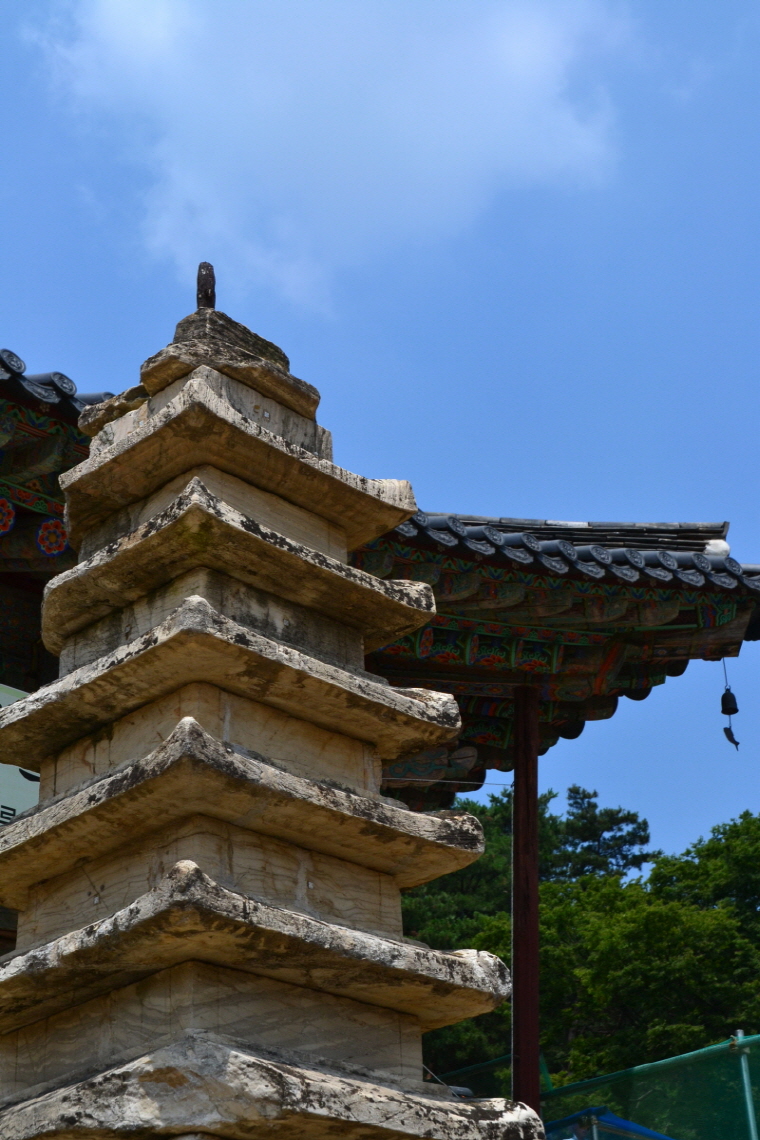 DSC_0206.jpg