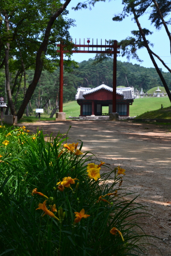DSC_0173.jpg