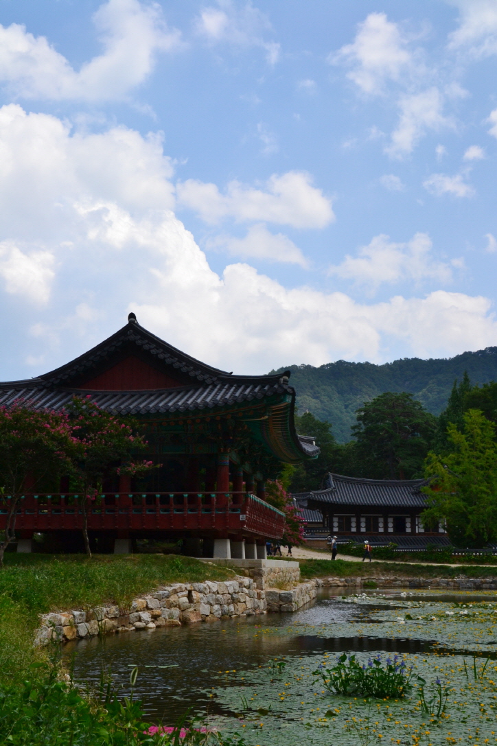 사진 214.jpg