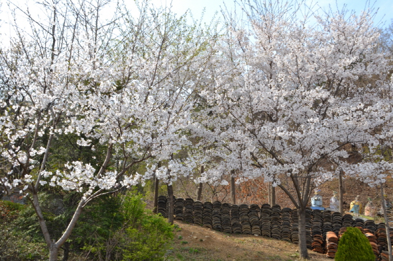 크기변환_DSC_0368.JPG