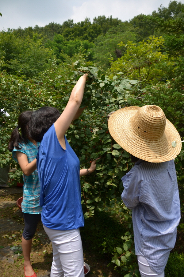 DSC_0125.jpg