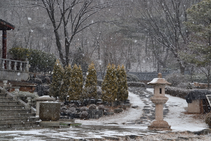 DSC_0004.jpg