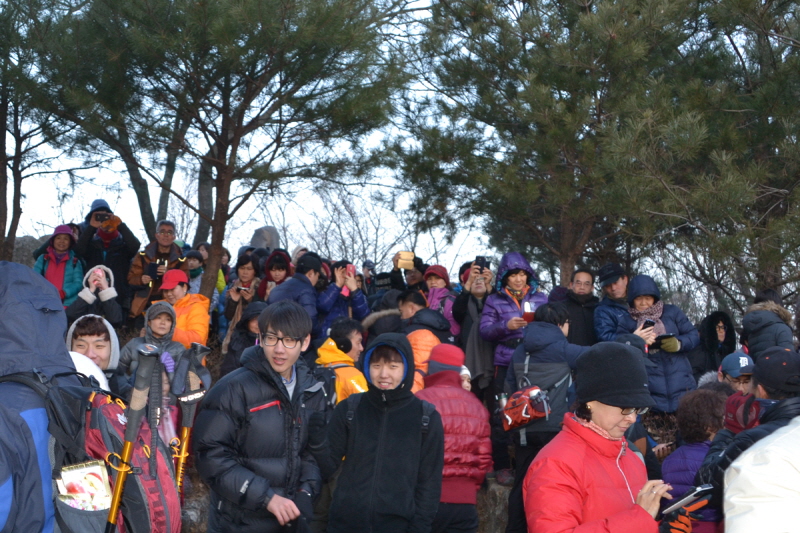 DSC_0064.jpg