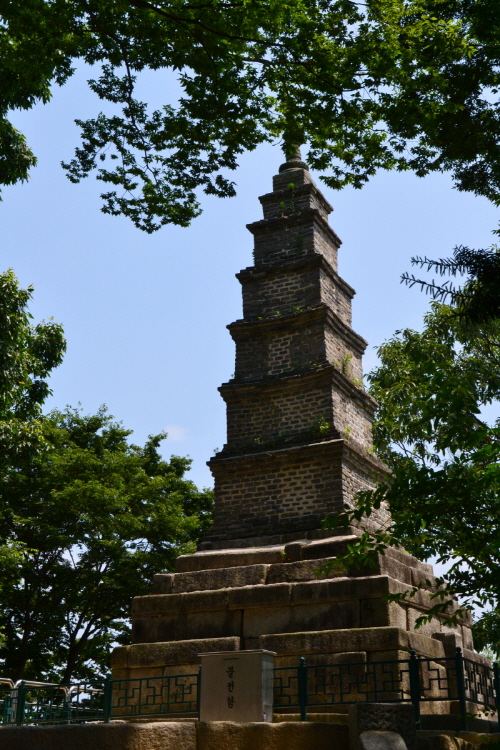 DSC_0219.jpg