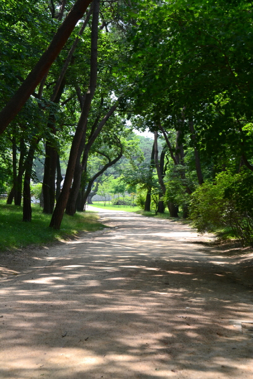 DSC_0172.jpg