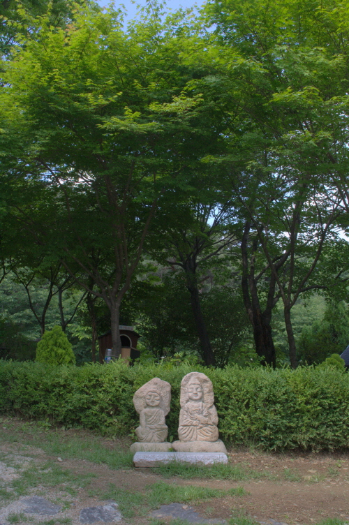 변환_IMG_6358.JPG