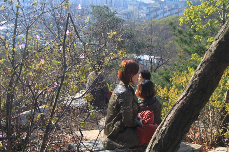 크기변환_IMG_5641.JPG