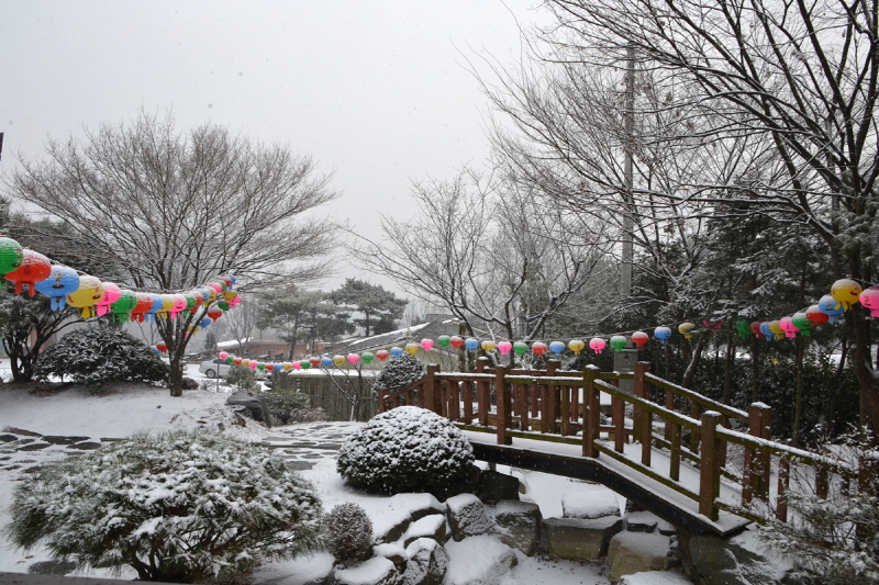 DSC_0014.jpg