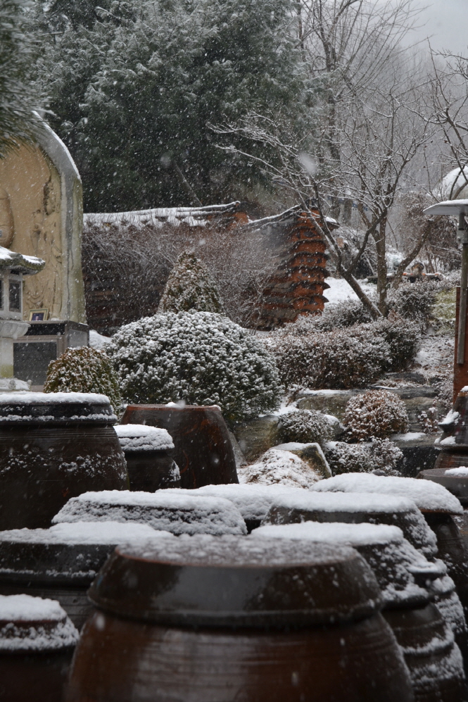 DSC_0008.jpg