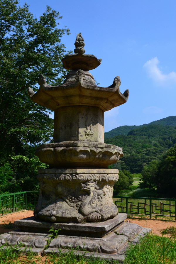 DSC_0246.jpg
