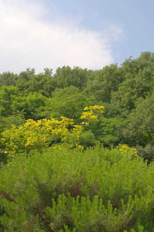크기변환_DSC_0047.NEF.jpg