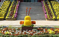 IMG_2419.JPG