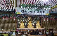 SAM_0120.JPG