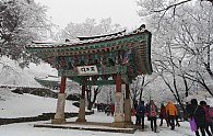 SAM_0203.JPG