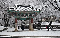 SAM_0339.JPG
