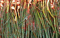 보명성 056.jpg