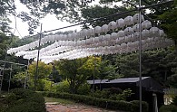 20180619_173945.jpg