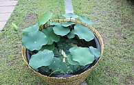 IMG_9634.JPG