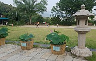 KakaoTalk_20180727_200607632.jpg