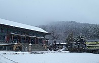 KakaoTalk_20181124_100647350.jpg