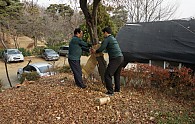 DSC01429.JPG