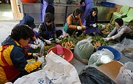 DSC01481.JPG