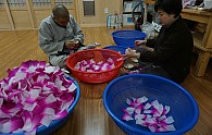 DSC03521.JPG