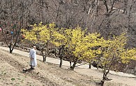 20200411_131356.jpg