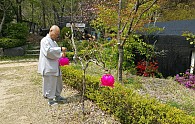 KakaoTalk_20200425_161915876.jpg