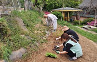 20210422_140752.jpg