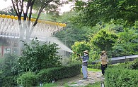 20210727_181903.jpg