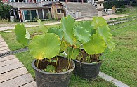 20210826_113320.jpg
