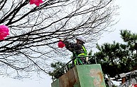 20220331_164734.jpg