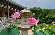 KakaoTalk_20220716_153656307_01.jpg