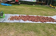 KakaoTalk_20220928_111114444_02.jpg