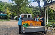 20240922163054_c6f29dc9dd880dce1a8ec49be8c21b26_tn3u.jpg