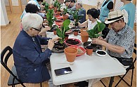 9334_11881_3935.jpg