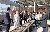 1 IMG_6403.JPG