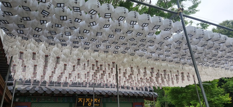 KakaoTalk_20250706_093334874.jpg