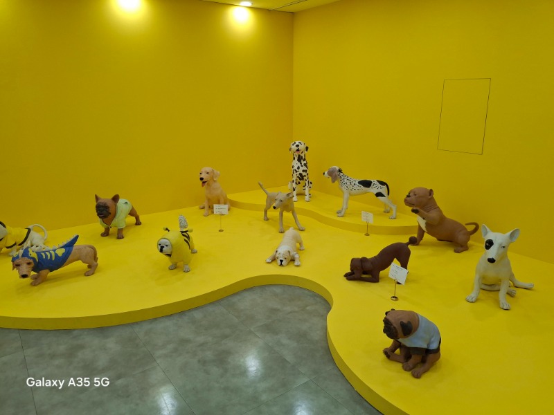 KakaoTalk_20250711_164659000_03.jpg
