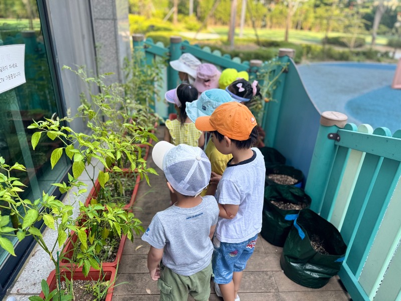 KakaoTalk_20250729_142014107_01.jpg