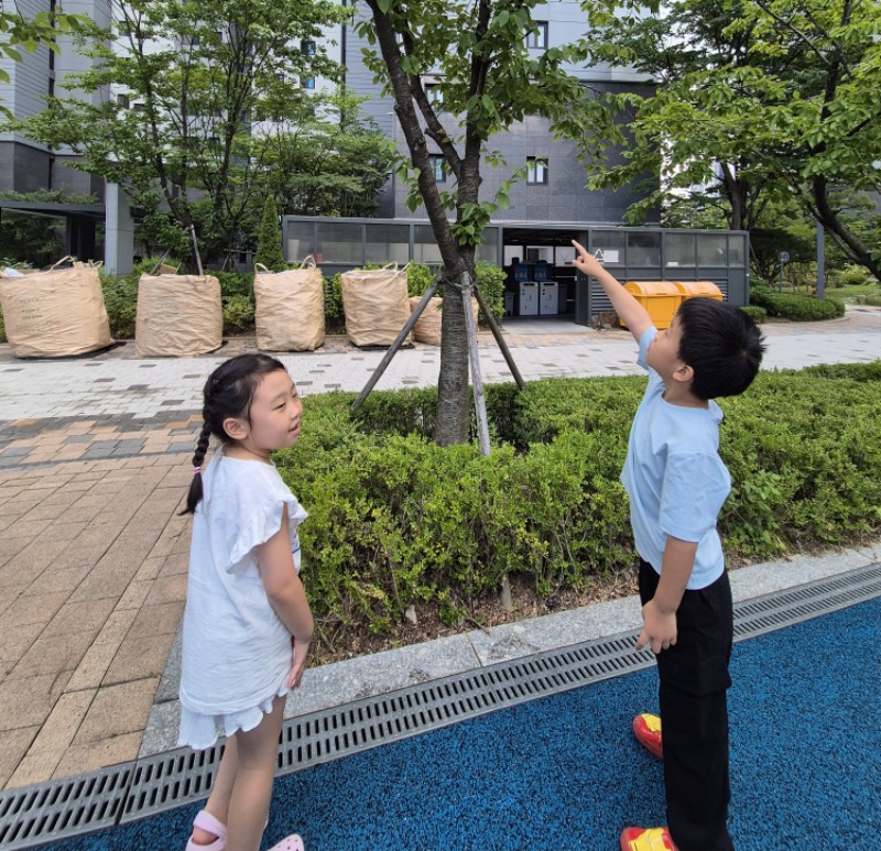 KakaoTalk_20250807_132747100.jpg