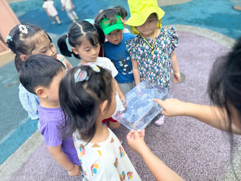 KakaoTalk_20250807_133335937_02.jpg