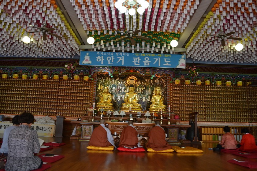 크기변환_DSC_0555.JPG