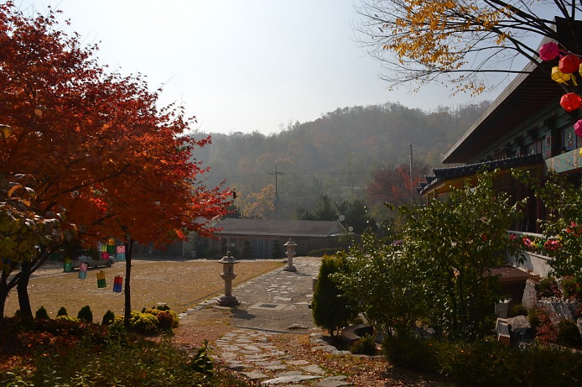 DSC_0607.JPG
