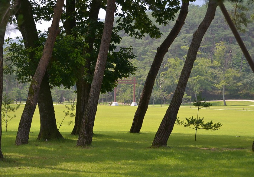 DSC_0166.jpg