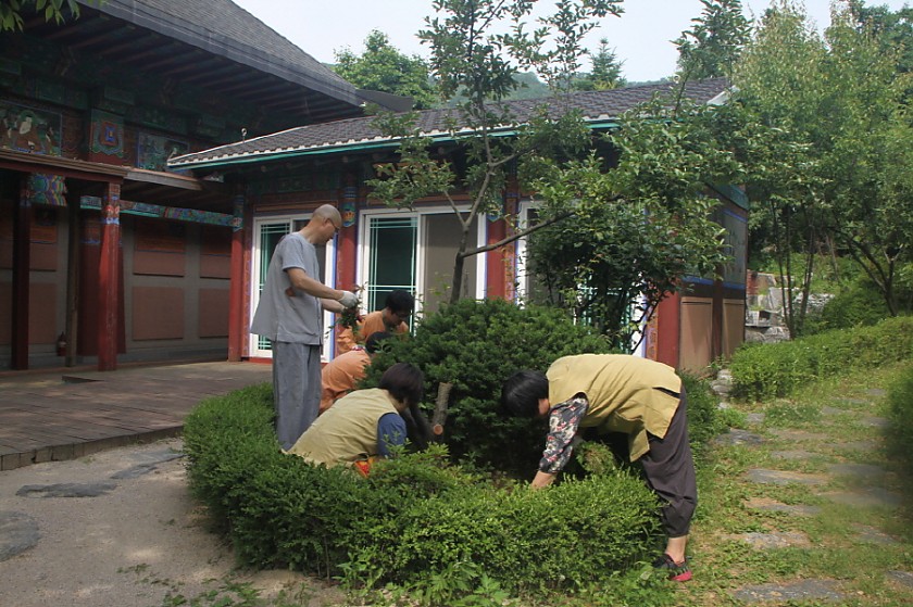 변환_IMG_6388.JPG